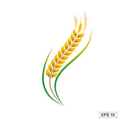 Rice,Vector illustration