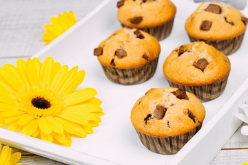 Homemade chocolate chip muffins on a white wooden tray decorated with flowers.