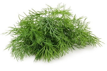 A bunch of fresh dill