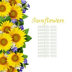 Sunflowers and wild flowers border