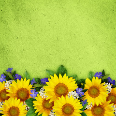 Sunflowers and wild flowers background