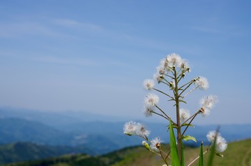 塩塚高原     5月  