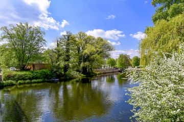 Havelufer in Potsdam im Frühling