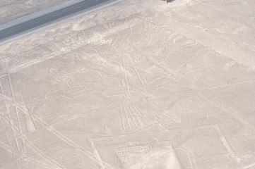 Nasca line of The Tree Geoglyph, Nazca, Peru