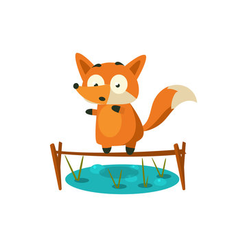 Fox Crossing The Pond