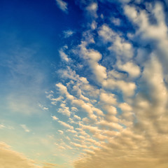 Fototapeta premium sky (166)