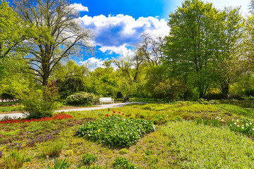Freundschaftsinsel Potsdam im Frühling