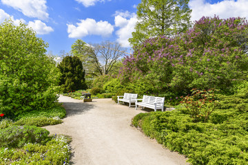 Fototapeta premium Freundschaftsinsel Potsdam im Frühling
