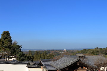 Fototapeta na wymiar 奈良市の観光