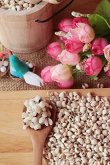 Cooked millet seeds and dried millet seeds.