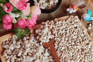 Cooked millet seeds and dried millet seeds.