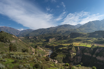 Naklejka na ściany i meble Beautiful Natural view from The Colca Canyon, the deepest canyon