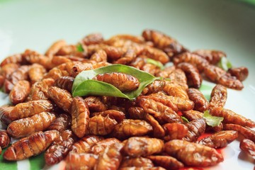 fried insects