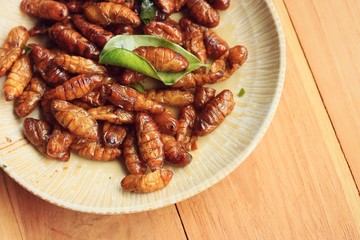 fried insects