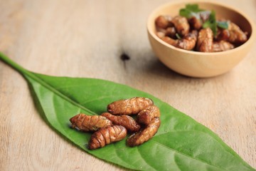 fried insects