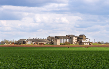 Natural country landscape.