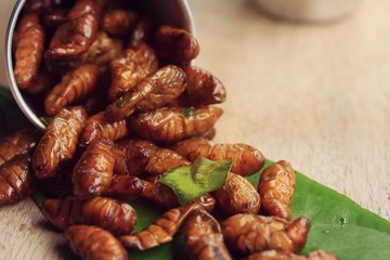 fried insects