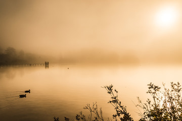 Misty early morning lake in autumn