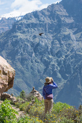 A Girl bird watching at Colca Canyon, Arequipa, Peru