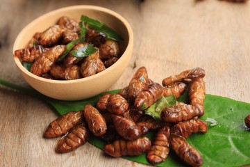 fried insects