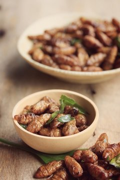 fried insects