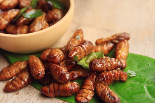 fried insects
