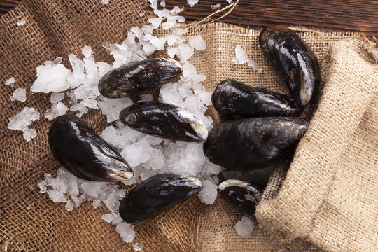 Rustic seafood background.