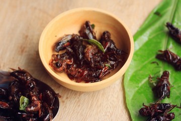 fried insects