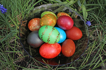 Easter eggs in grass on plate