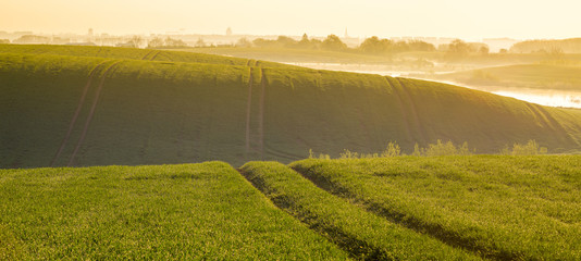 Wiosenne pole,kwitnący rzepak,zielone,młode zboże © Mike Mareen