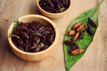 fried insects