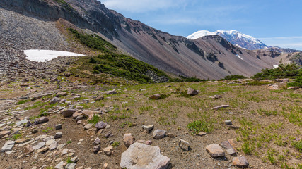 Summer landscape in mountains. Amazing view at the snowy peaks which rose against the blue of a cloudless sky. BERKELEY PARK TRAIL, Sunrise Area, Mount Rainier National Park