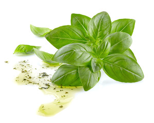 Basil with olive oil