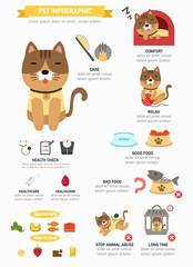 Obraz na płótnie Canvas cat infographic,vector