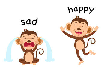 Opposite words sad and happy vector