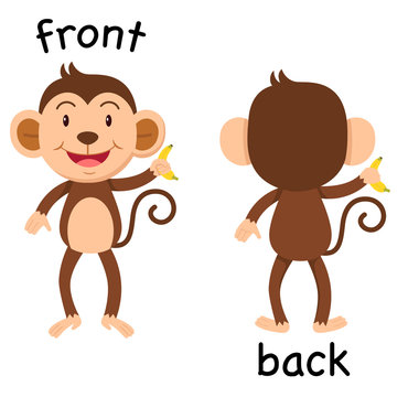Opposite words front and back vector