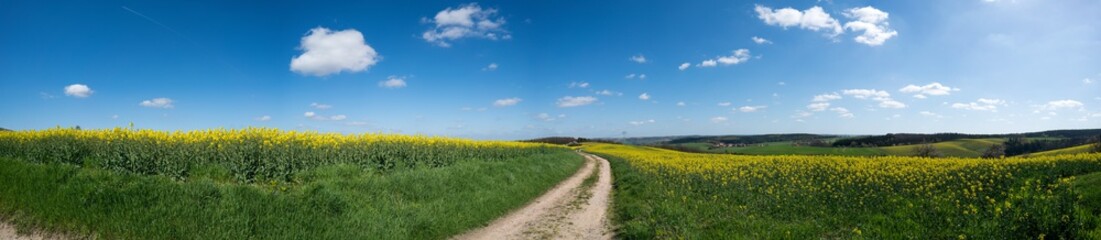Panorama of ground road and green field