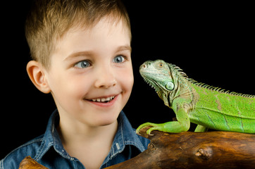 happy little boy and green iguana