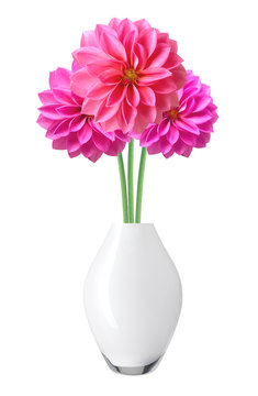 Dahlia Autumn Flowers In Vase Isolated On White