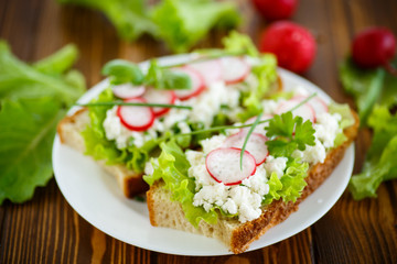 sandwich with cheese, radish and lettuce