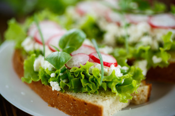 sandwich with cheese, radish and lettuce