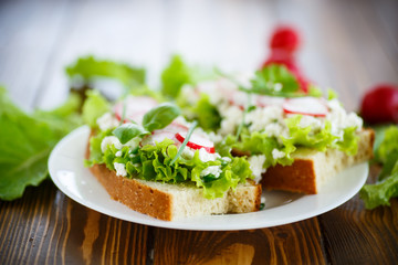 sandwich with cheese, radish and lettuce