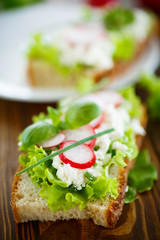sandwich with cheese, radish and lettuce
