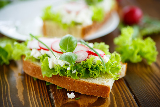 sandwich with cheese, radish and lettuce