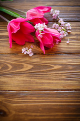 Bunch of beautiful tulips 