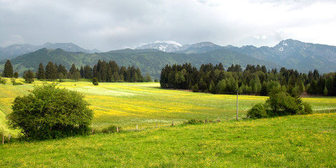 Landschaft im Frühling