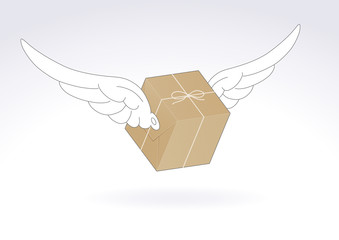 paquet emballé avec des ailes_emballage en papier kraft 