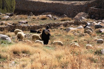 berger dans les montagnes d'Iran