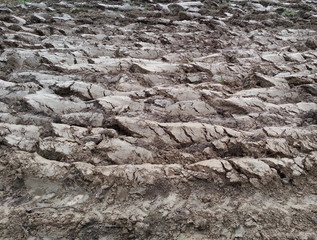 Ploughland