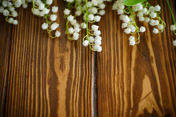 blooming lily of the valley